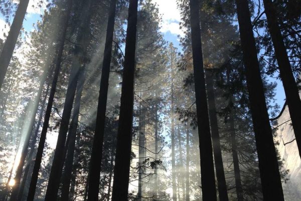 Industry Leaders Discuss Future of Hospitality & Lounges