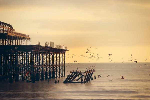 Industry Leaders Discuss Future of Wines, Spirits & Tobacco