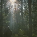 Passenger Experience