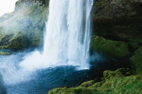 Strategic Partnership Boosts Books, Toys & Collectibles Performance