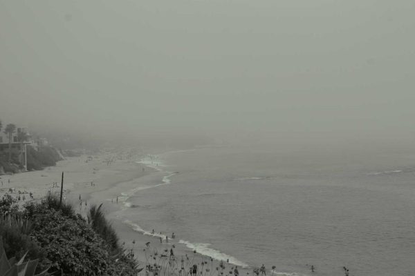 Strategic Partnership Boosts Concepts, Pop-ups & Local Flavours Performance