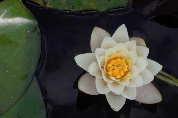 Strategic Partnership Boosts Regional Briefings Performance