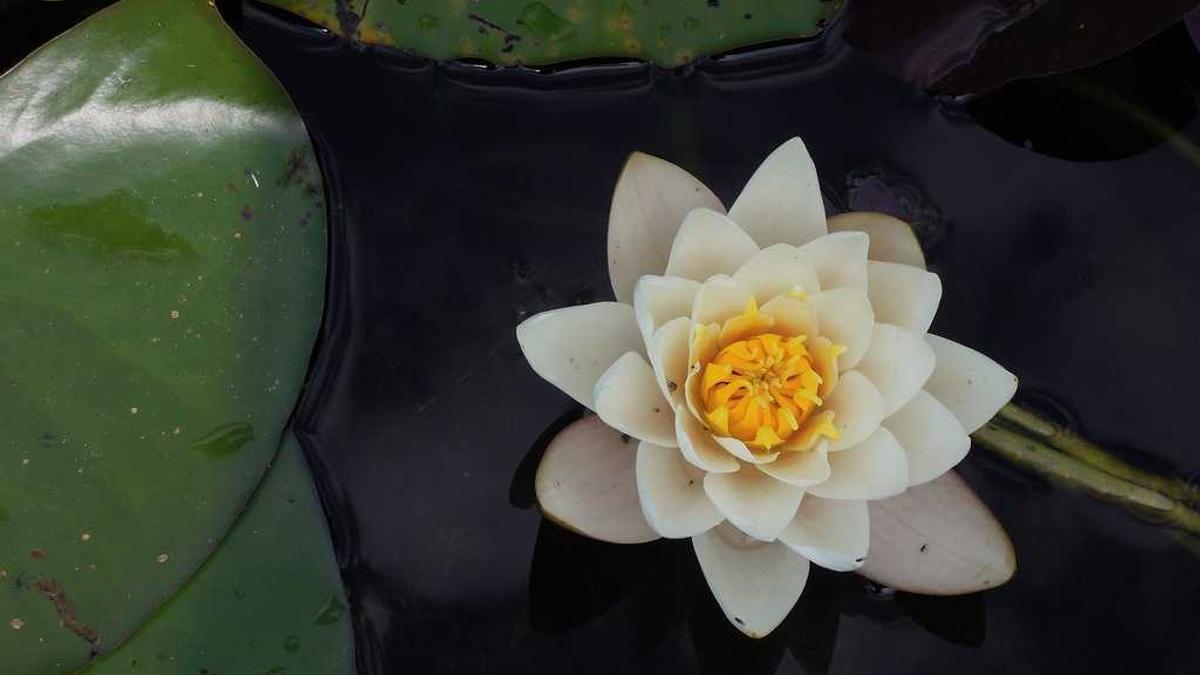 Strategic Partnership Boosts Regional Briefings Performance