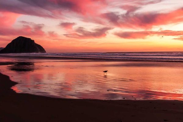 Strategic Partnership Boosts Traveller Trends & Sentiment Performance